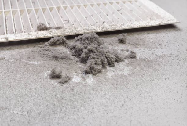 Best Local Air Duct Cleaning Services  in Tiburon, CA