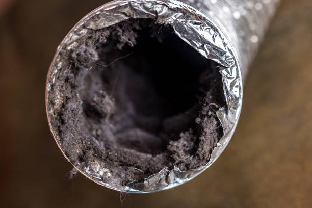 Best Affordable Duct Cleaning Services  in Tiburon, CA
